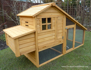 Chicken Coop Review - The Sussex Chicken House with Run (for 4 to 5 ...