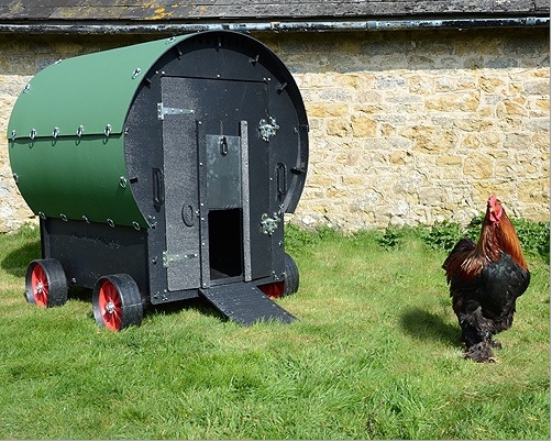 Chicken Coops for 6 Hens