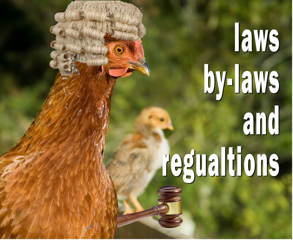 chicken keeping laws bylaws and regulations