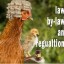 Keeping Chickens: Laws, By-Laws and Regulations in the UK