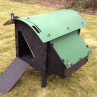 Chicken Coop Review: Green Frog Chicken Lodge (for 4 to 5 Hens)