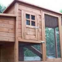 Chicken Coop Review: The Winchester by Imperial Coops (for 2 to 3 Hens)