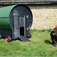 Chicken Coop Review: Green Frog Chicken Wagon (up to 6 Hens)