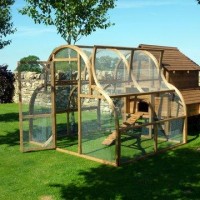 Fearnley Chicken Coop Review (for 10 to 12 Hens)