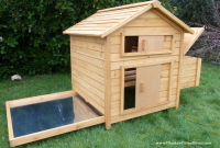 What to Look For When Buying a Chicken Coop and Run