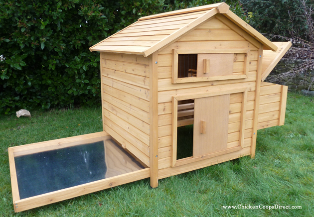 what to look for when buying a chicken coop and run