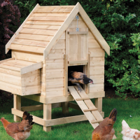 Review: Rowlinson Small Chicken Coop (for 4 Hens)