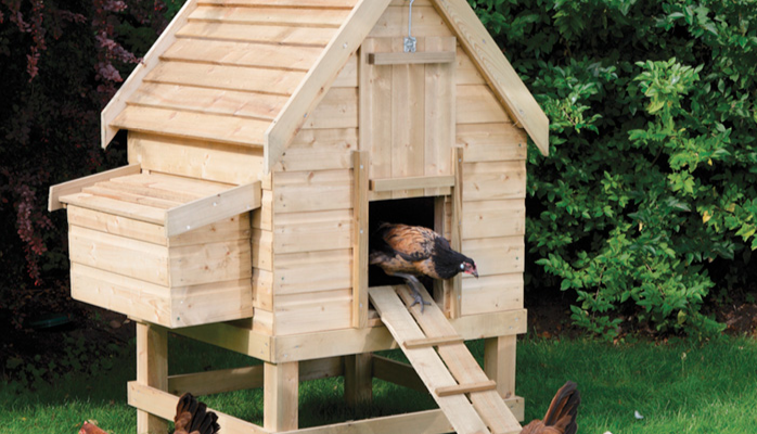 Review: Rowlinson Small Chicken Coop (for 4 Hens)